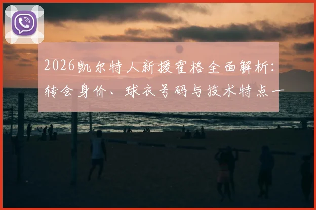 2026凯尔特人新援霍格全面解析:转会身价、球衣号码与技术特点一览,天空体育确认体检完成